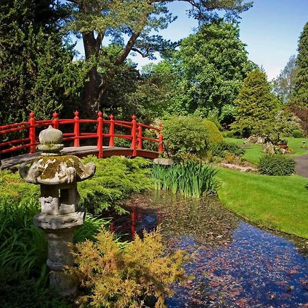 The Curragh Country House Accommodation Newbridge  Eksteriør billede