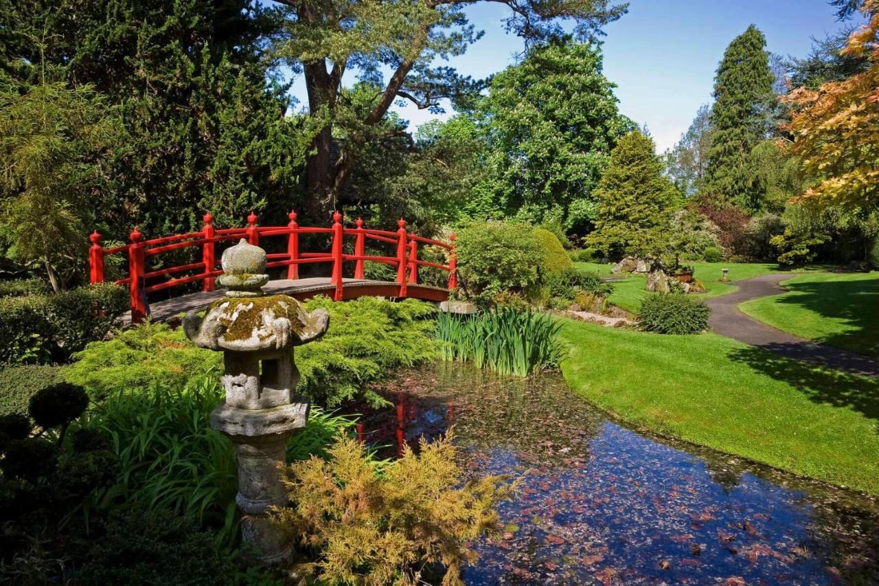 The Curragh Country House Accommodation Newbridge  Eksteriør billede