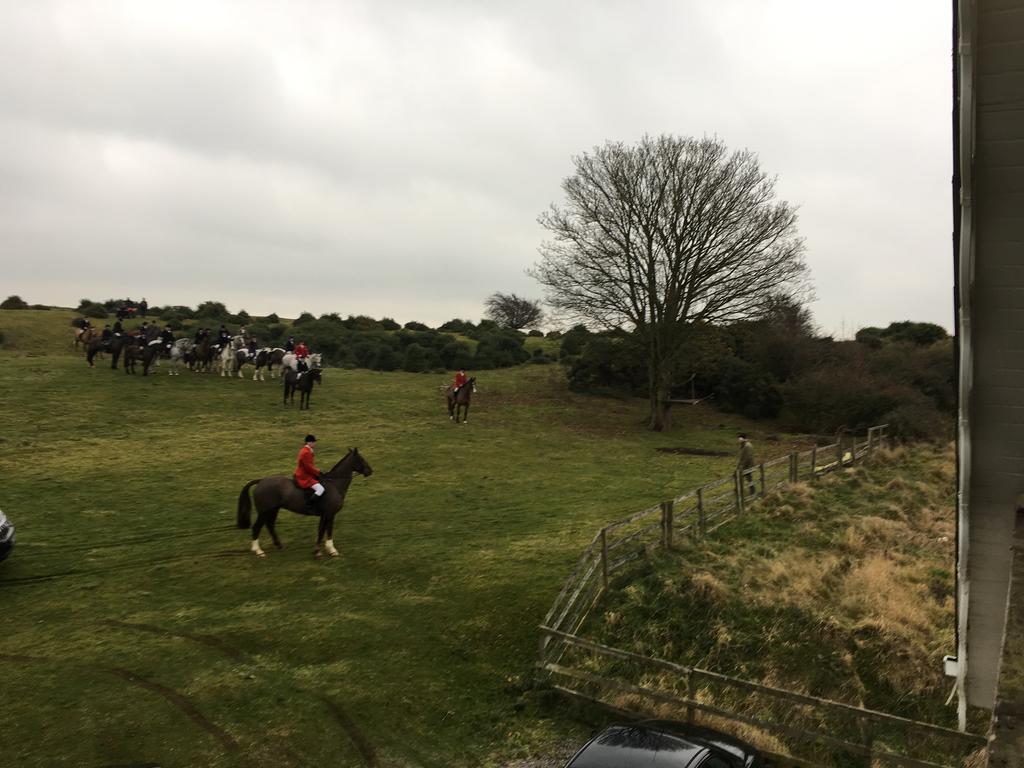 The Curragh Country House Accommodation Newbridge  Eksteriør billede